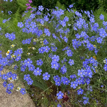 Bed and Breakfast Paignon 4*