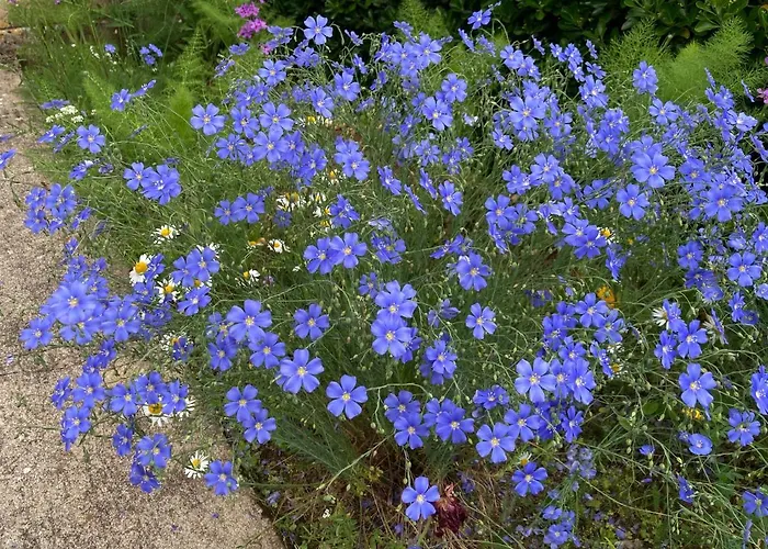 Alojamento de Acomodação e Pequeno-almoço Paignon 4*